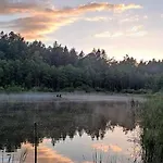 Lisie Bagno - W Lesie Mazury