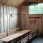 Lisie Bagno - W Lesie Mazury Miłomłyn