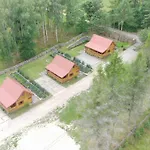 Lisie Bagno - W Lesie Mazury