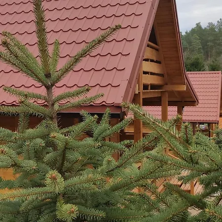 Lisie Bagno - W Lesie Mazury * Miłomłyn