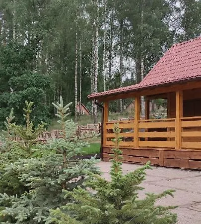 Lisie Bagno - W Lesie Mazury Miłomłyn