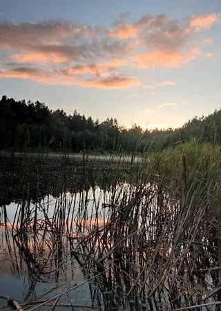 Lisie Bagno - W Lesie Mazury Gerendaház *