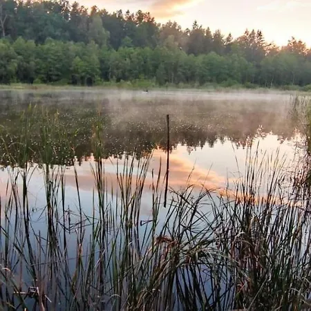 Lisie Bagno - W Lesie Mazury Gerendaház *