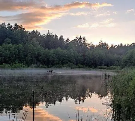 Lisie Bagno - W Lesie Mazury