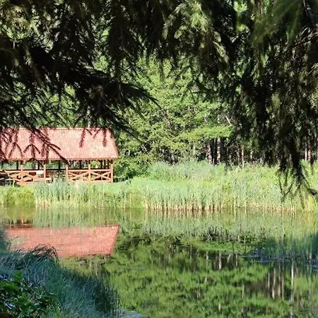 Lisie Bagno - W Lesie Mazury Gerendaház Miłomłyn