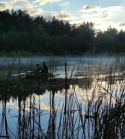 Lisie Bagno - W Lesie Mazury Miłomłyn
