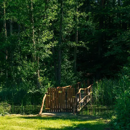 Lisie Bagno - W Lesie Mazury Miłomłyn