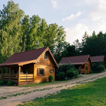 Lisie Bagno - W Lesie Mazury
