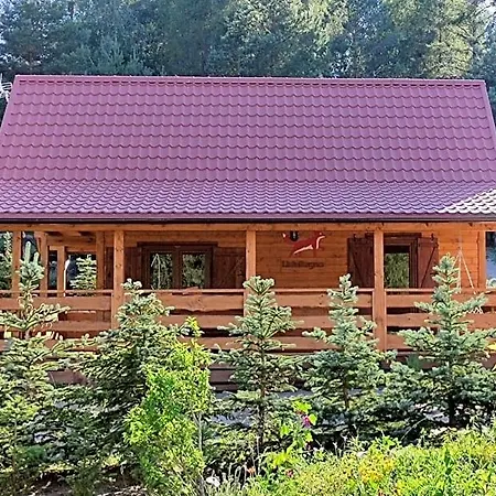 Lisie Bagno - W Lesie Mazury Lodge *