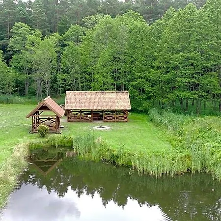 Lisie Bagno - W Lesie Mazury * Miłomłyn