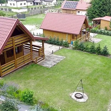 Lisie Bagno - W Lesie Mazury *