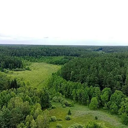 Lisie Bagno - W Lesie Mazury * Miłomłyn